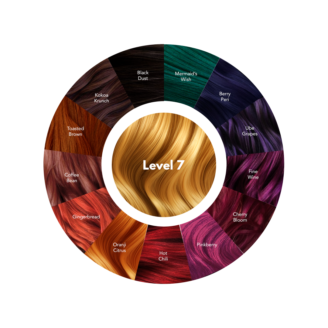 Level 7