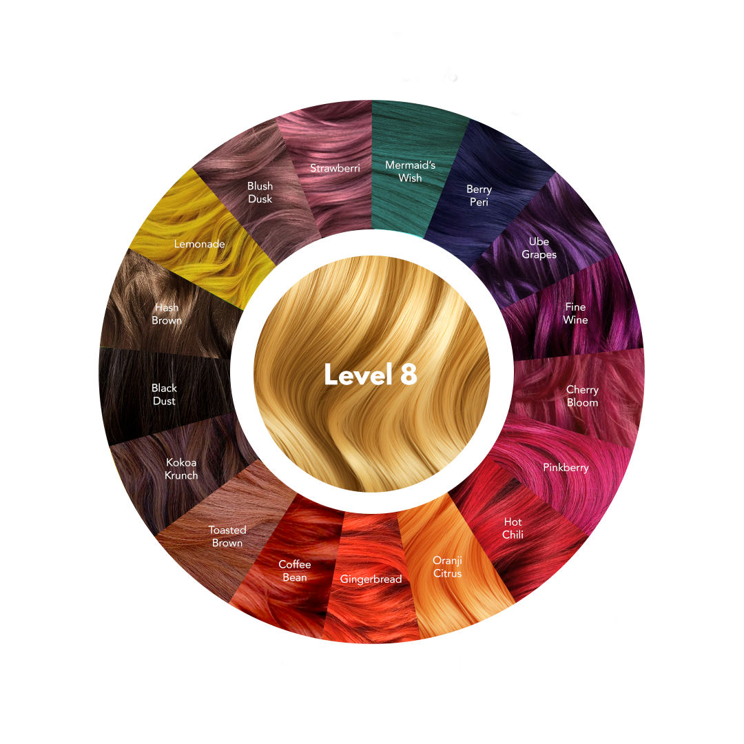 Level 8