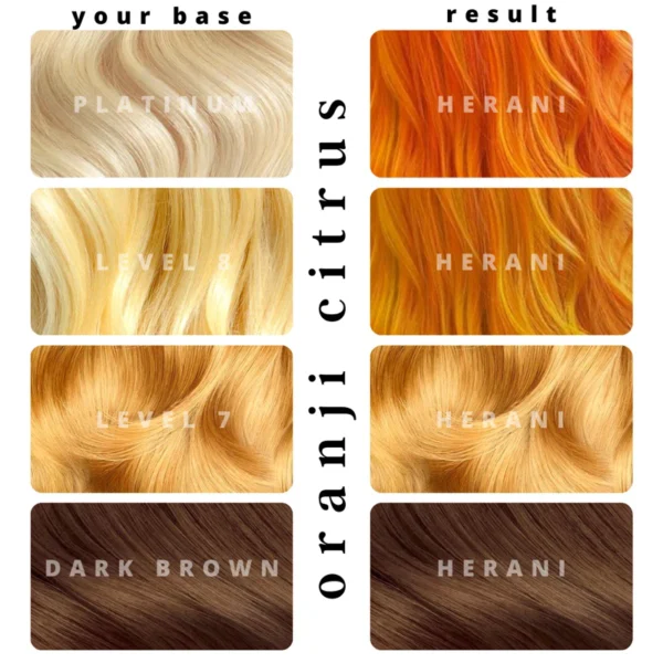 Oranji Citrus - Image 3
